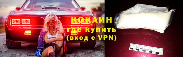 PSILOCYBIN Инсар