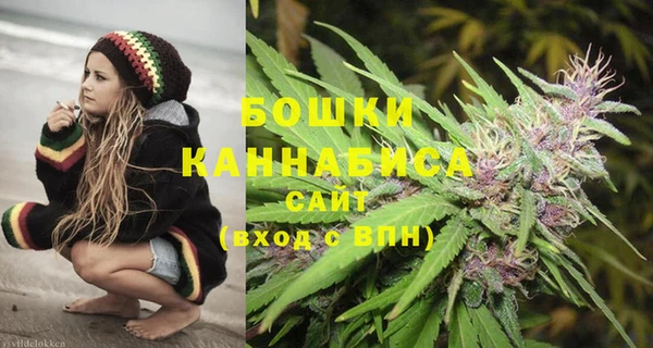 PSILOCYBIN Инсар
