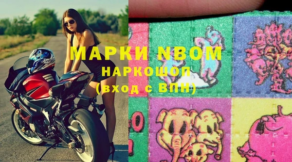 PSILOCYBIN Инсар