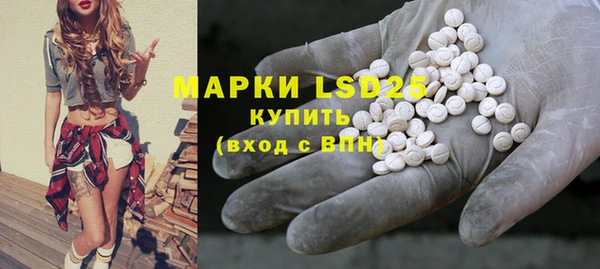 PSILOCYBIN Инсар