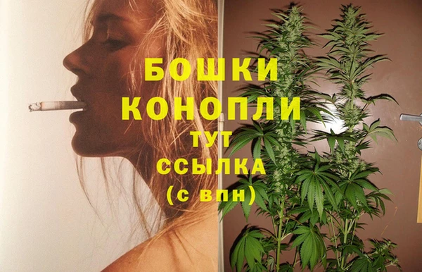 молекула духа Иннополис